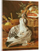 Still Life with pigeons, wicker basket, ham, onions and a lemon by Luis Egidio Menendez or Melendez