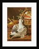 Still Life with pigeons, wicker basket, ham, onions and a lemon by Luis Egidio Menendez or Melendez
