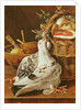 Still Life with pigeons, wicker basket, ham, onions and a lemon by Luis Egidio Menendez or Melendez