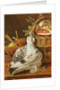 Still Life with pigeons, wicker basket, ham, onions and a lemon by Luis Egidio Menendez or Melendez