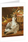 Still Life with pigeons, wicker basket, ham, onions and a lemon by Luis Egidio Menendez or Melendez