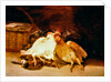 Still Life with dead chickens and a wicker basket by Francisco Jose de Goya y Lucientes