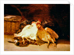 Still Life with dead chickens and a wicker basket by Francisco Jose de Goya y Lucientes