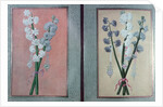 T.K.Hazine 413 Two Hyacinths, 1736 by Turkish School