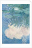 Waterlilies, detail, 1914-17 by Claude Monet