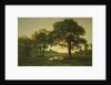 The Pond Oaks by Theodore Rousseau