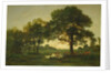 The Pond Oaks by Theodore Rousseau