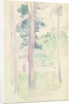 Pines by the lake, 1893 by Berthe Morisot