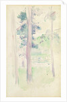 Pines by the lake, 1893 by Berthe Morisot