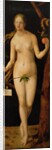 Eve, 1507 by Albrecht Dürer or Duerer
