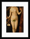 Eve, 1507 by Albrecht Dürer or Duerer