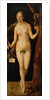 Eve, 1507 by Albrecht Dürer or Duerer