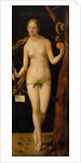 Eve, 1507 by Albrecht Dürer or Duerer