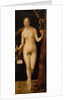 Eve, 1507 by Albrecht Dürer or Duerer