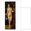 Eve, 1507 by Albrecht Dürer or Duerer