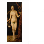 Eve, 1507 by Albrecht Dürer or Duerer