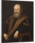Portrait of a Venetian noble by Jacopo Robusti Tintoretto