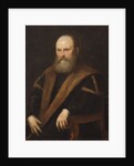 Portrait of a Venetian noble by Jacopo Robusti Tintoretto