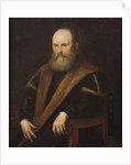 Portrait of a Venetian noble by Jacopo Robusti Tintoretto