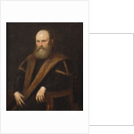Portrait of a Venetian noble by Jacopo Robusti Tintoretto