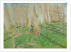 Forest with anemonies, 1889 by Maurice Denis