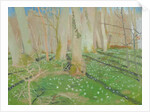 Forest with anemonies, 1889 by Maurice Denis