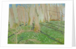 Forest with anemonies, 1889 by Maurice Denis