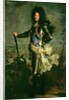 Portrait of Louis XIV by Hyacinthe Francois Rigaud