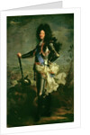 Portrait of Louis XIV by Hyacinthe Francois Rigaud