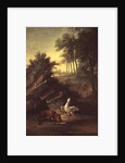 The Fox and the Stork, 1747 by Jean-Baptiste Oudry