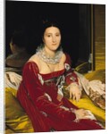 Madame de Senonnes, 1814-16 by Jean Auguste Dominique Ingres