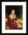 Madame de Senonnes, 1814-16 by Jean Auguste Dominique Ingres