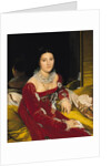 Madame de Senonnes, 1814-16 by Jean Auguste Dominique Ingres