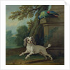 Zaza, the dog, c.1730 by Jean-Baptiste Oudry