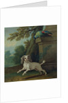 Zaza, the dog, c.1730 by Jean-Baptiste Oudry