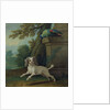 Zaza, the dog, c.1730 by Jean-Baptiste Oudry