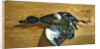 A duck on a pine board, 1753 by Jean Jacques Bachelier