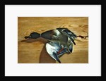 A duck on a pine board, 1753 by Jean Jacques Bachelier