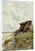 In the Hague by Marie Joseph Leon Clavel Iwill