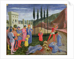 The Martyrdom of St. Cosmas and St. Damian by Fra Angelico