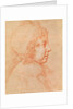 Portrait of Louis XIV as a child by Philippe de Champaigne