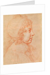 Portrait of Louis XIV as a child by Philippe de Champaigne