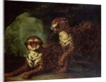 Two Leopards, c. 1820 by Theodore Gericault