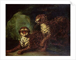 Two Leopards, c. 1820 by Theodore Gericault