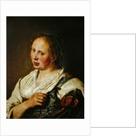 Painting of the young peasant by Salomon de Bray