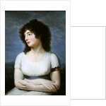 Laure de Guesnon de Bonneuil, Countess Regnaud de Saint-Jean d'Angely by Andrea the Elder Appiani