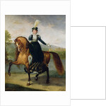 Equestrian portrait of Catherine de Wurtemberg by Antoine Jean Gros