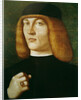 Portrait of a young man by Gentile Bellini