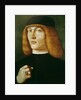 Portrait of a young man by Gentile Bellini