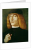 Portrait of a young man by Gentile Bellini